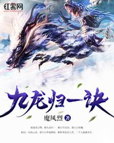 九龙归一诀完整版小说免费下载